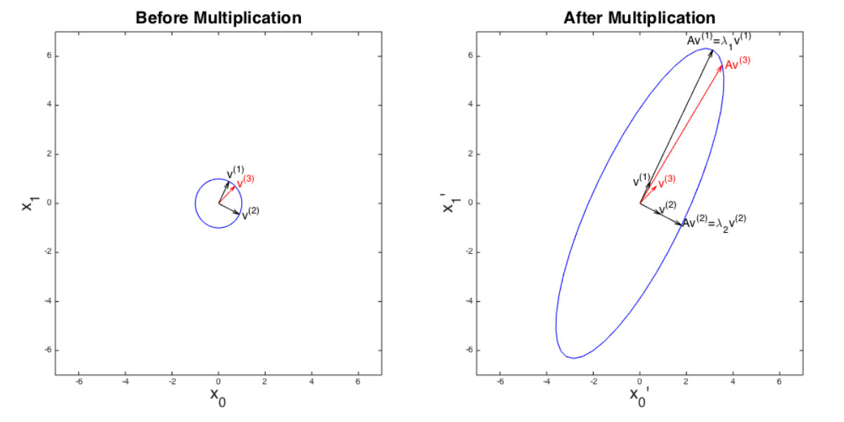 Vector Transformation